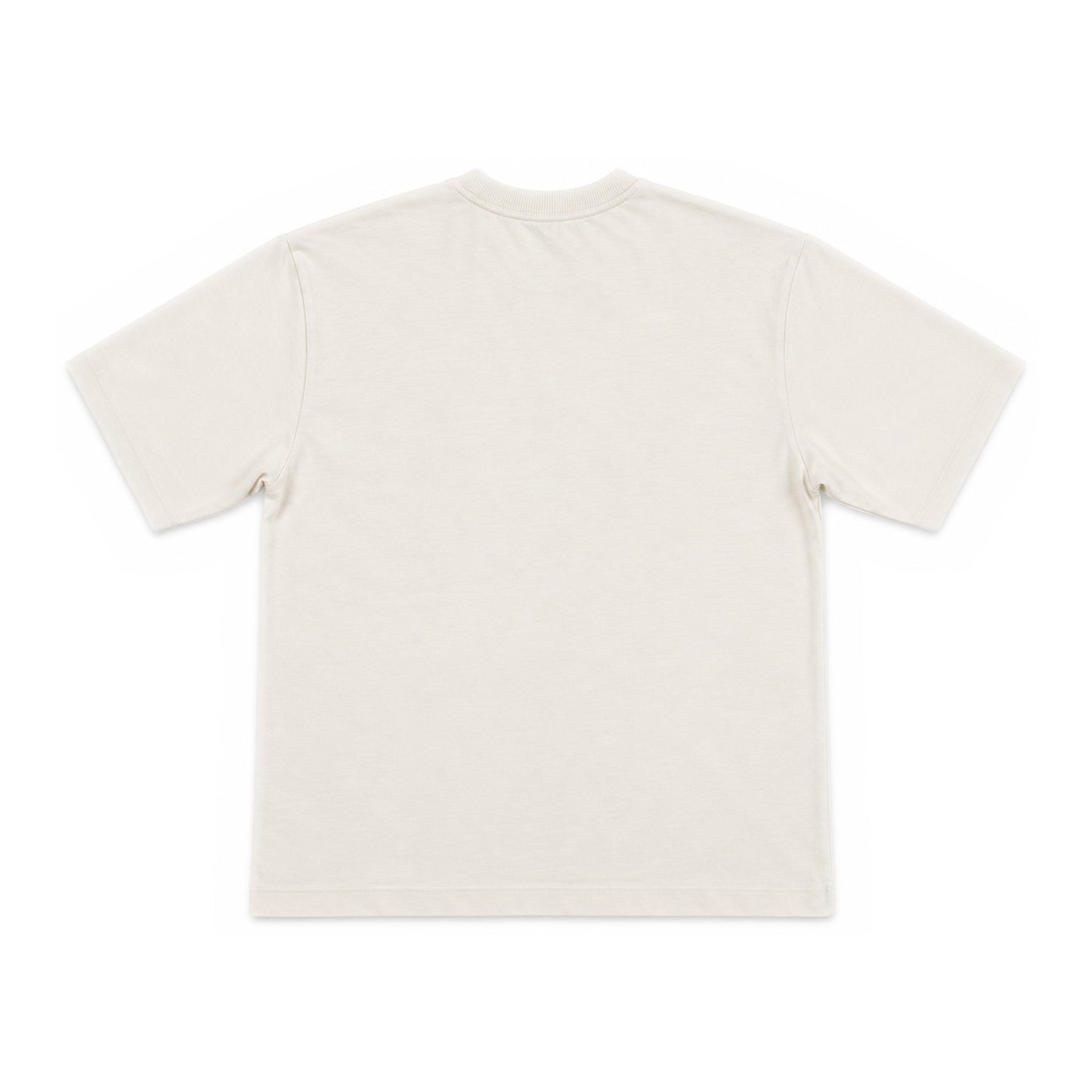 BRIAN T-Shirt V-Neck Over