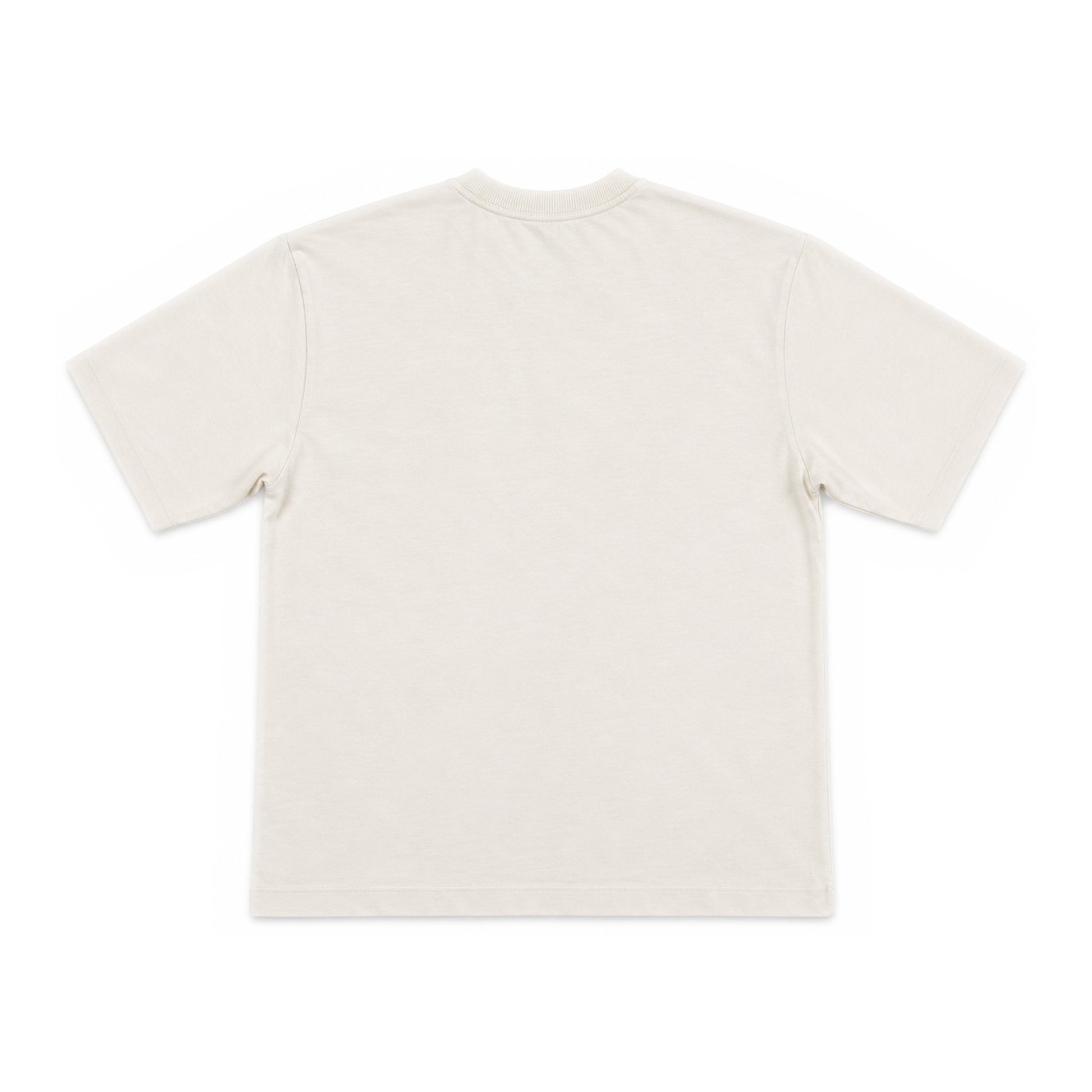 BRIAN T-Shirt V-Neck Over